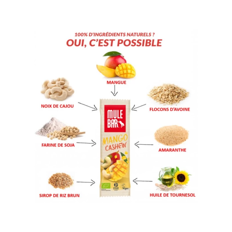 MULEBAR Barre Energétique Bio Vegan Mangue / Noix De Cajou – Image 3