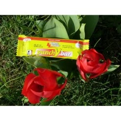 PUNCH POWER Barre Punchybar Banane