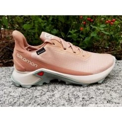 SALOMON Alphacross 3 GTX Femme Sirocco / Rainy Day
