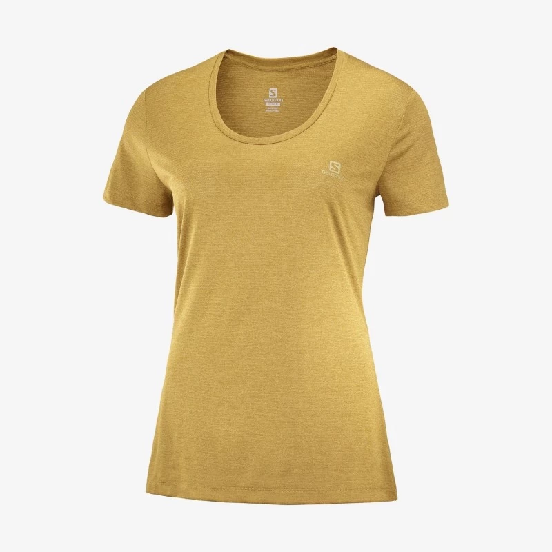 Tee-Shirt SALOMON Agile SS Tee Femme Cumin / Heather – Image 3