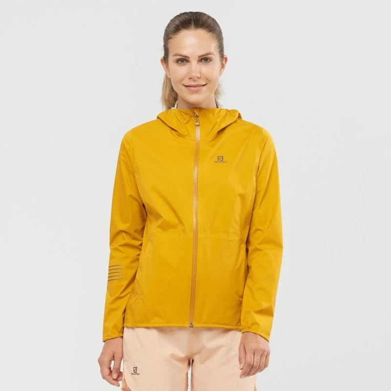 Veste SALOMON Bonatti Waterproof JKT Femme Arrowwood